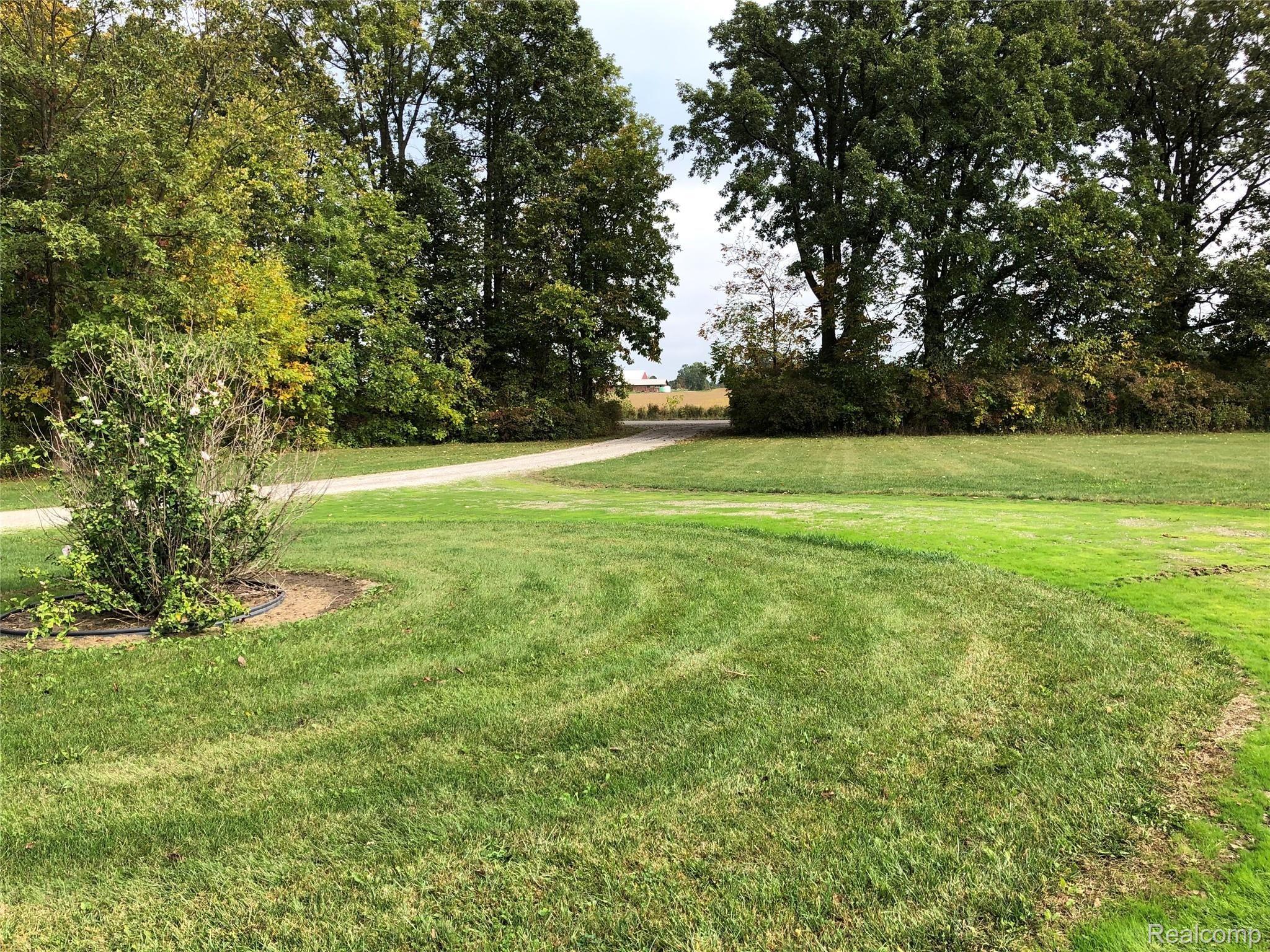 5171 Martin Road Capac, MI 48014 - Photo 10 of 34 View of driveway from home - mature trees offer privacy from the road