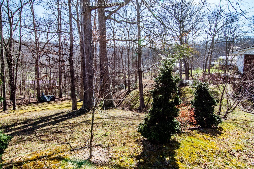 103 Azalea Drive Elkview, WV 25071 - Photo 9 of 27 Gallery Image 9