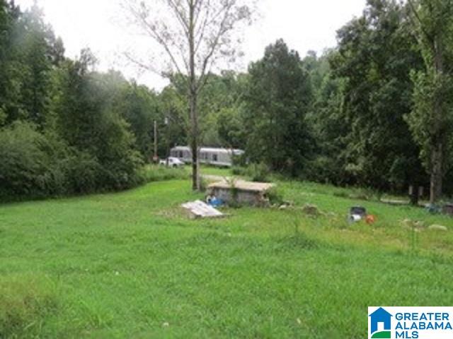 1980 Dripping Rock Road, Unit 20 50 AC Piedmont, AL 36272 - Photo 7 of 19