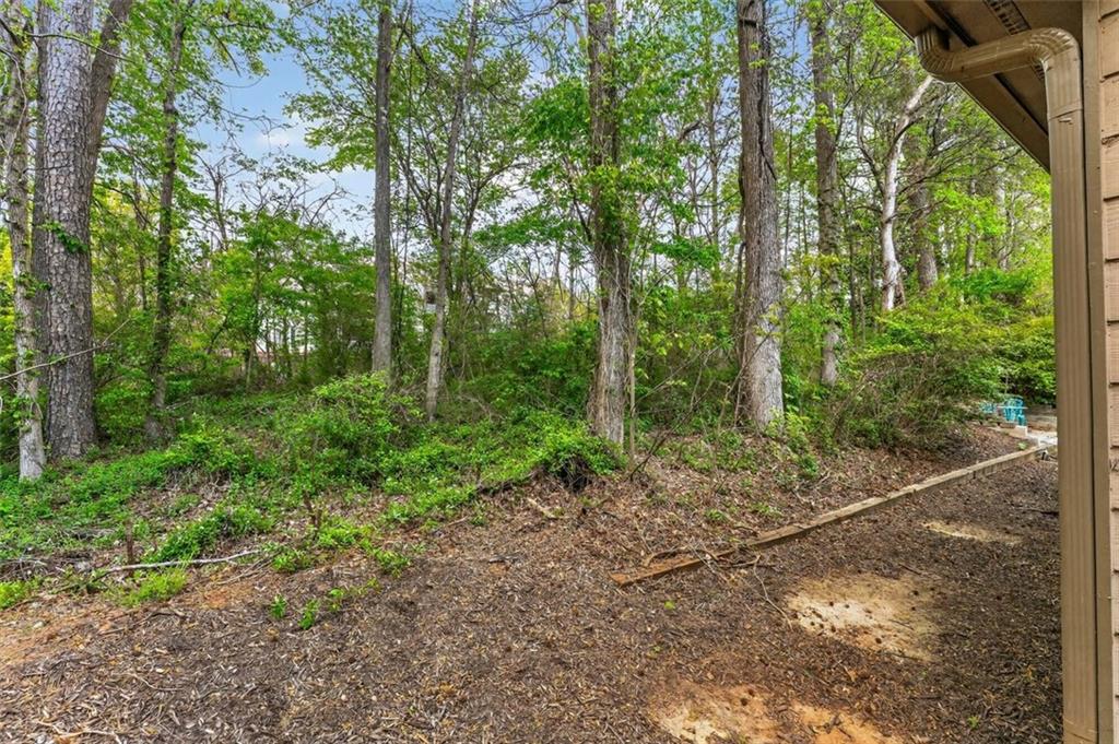 113 Tyson Woods Road Acworth, GA 30102 - Photo 37 of 37 a big yard with lots of green space and plants