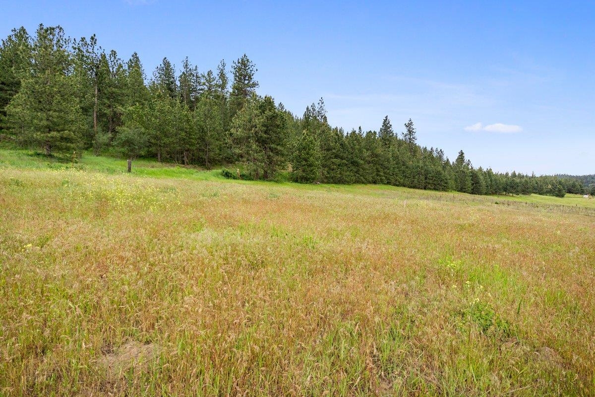 1877 South Stateline Road Liberty Lake, WA 99019 - Photo 1 of 18