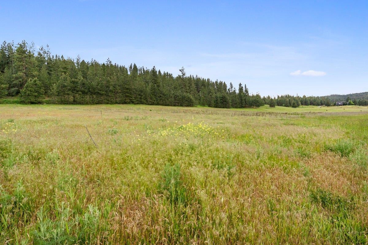 1877 South Stateline Road Liberty Lake, WA 99019 - Photo 18 of 18