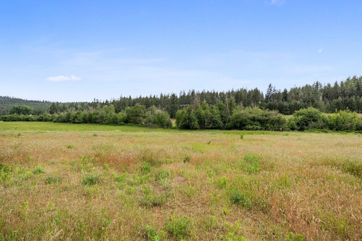 1877 South Stateline Road Liberty Lake, WA 99019 - Photo 2 of 18