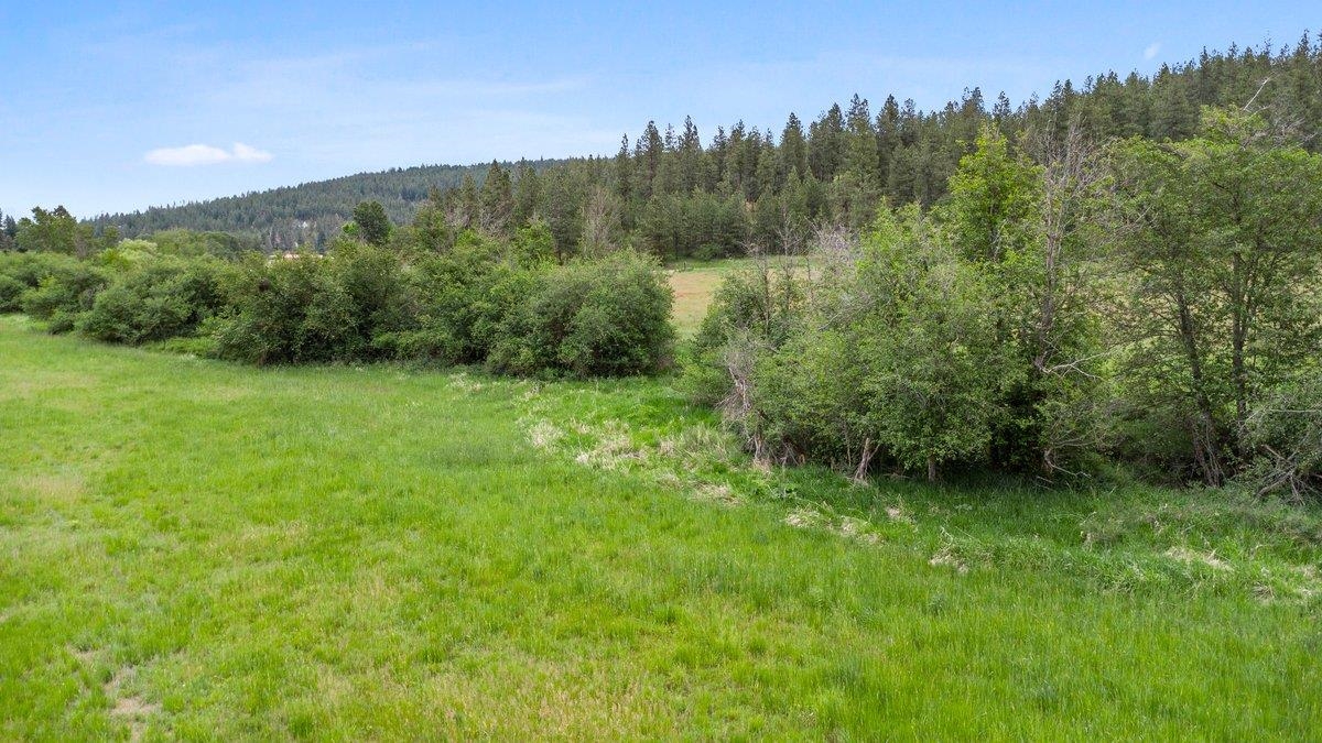 1877 South Stateline Road Liberty Lake, WA 99019 - Photo 3 of 18