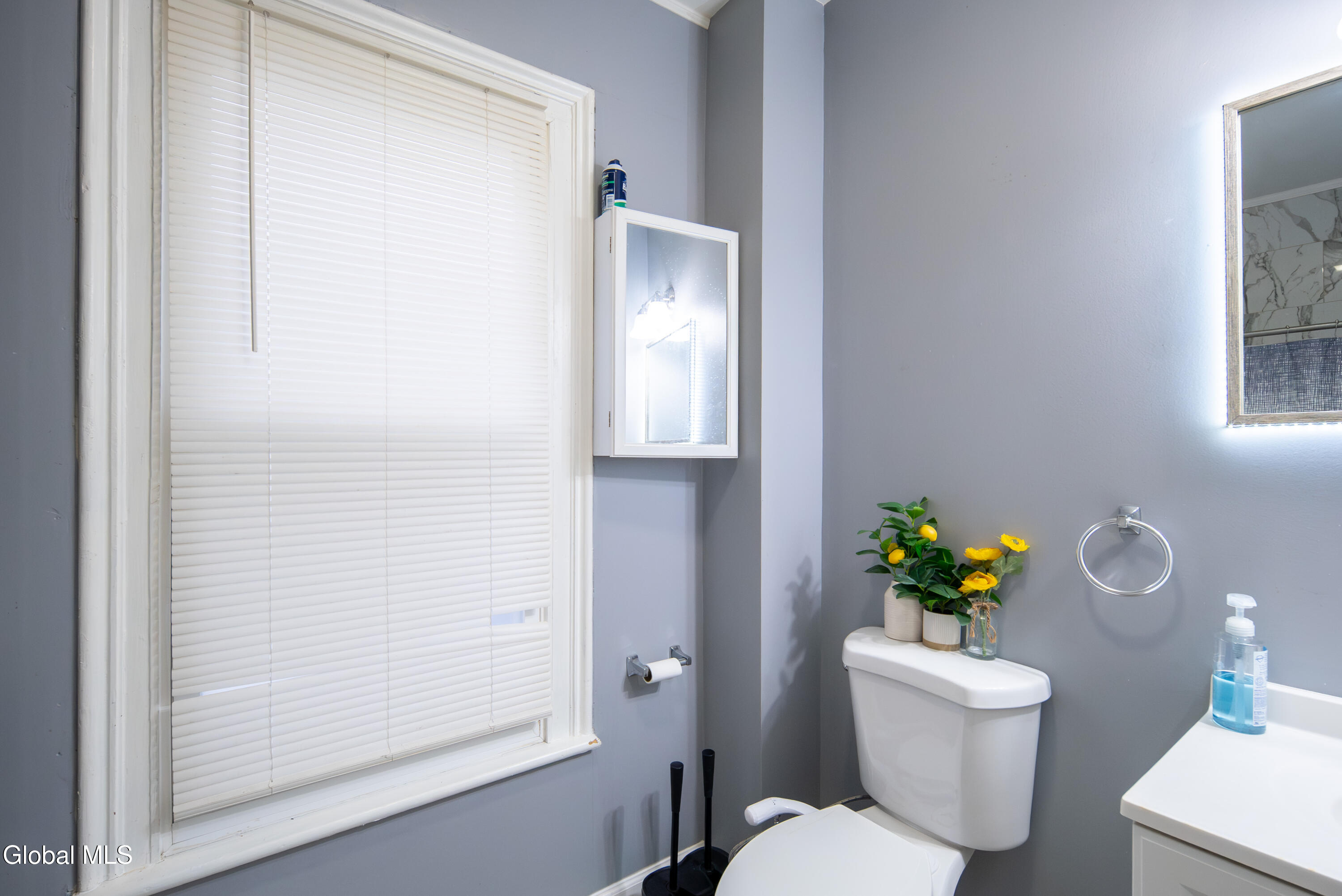 41 Brunswick Avenue Troy, NY 12180 - Photo 17 of 45 016