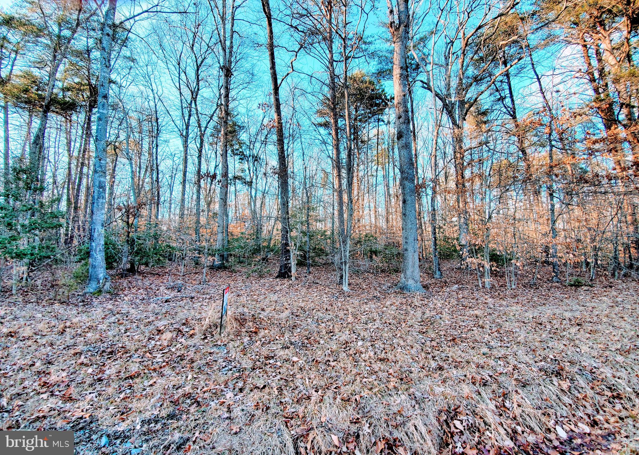 Crawleys Dam Road Goldvein, VA 22720 - Photo 1 of 3 Gallery Image 1
