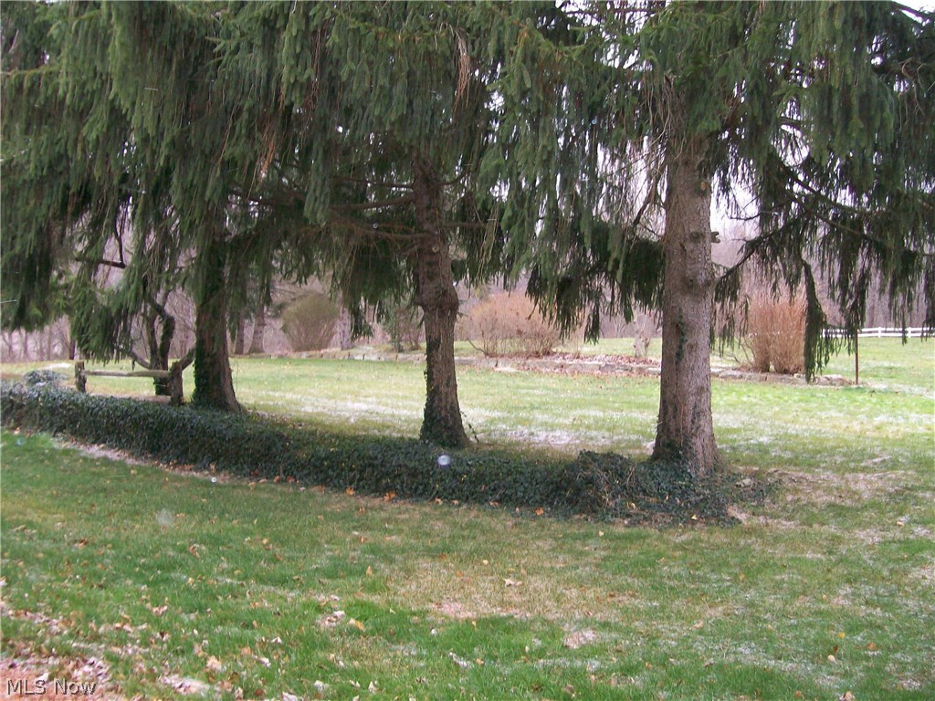8928 River Styx Road Wadsworth, OH 44281 - Photo 3 of 4 Gallery Image 3