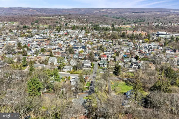 a view of a yard with plants and trees