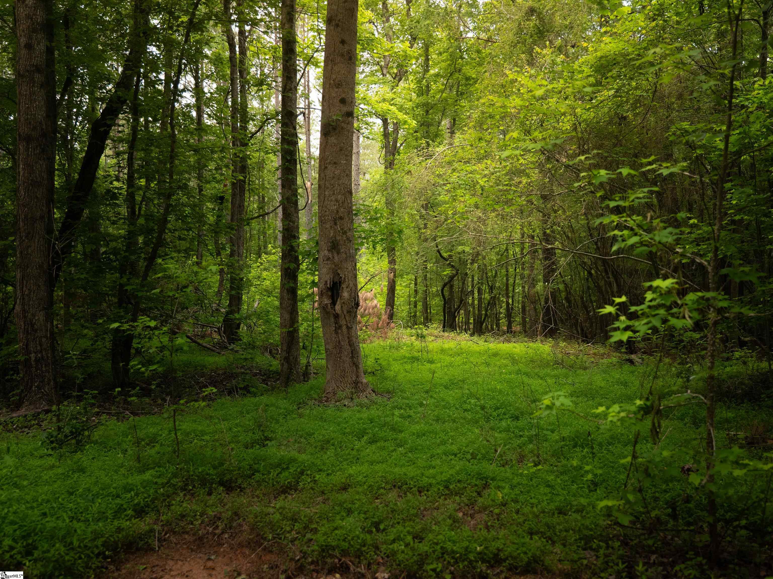 6 Elford Grove Road, Unit LOT 6 Jonesville, SC 29353 - Photo 18 of 23