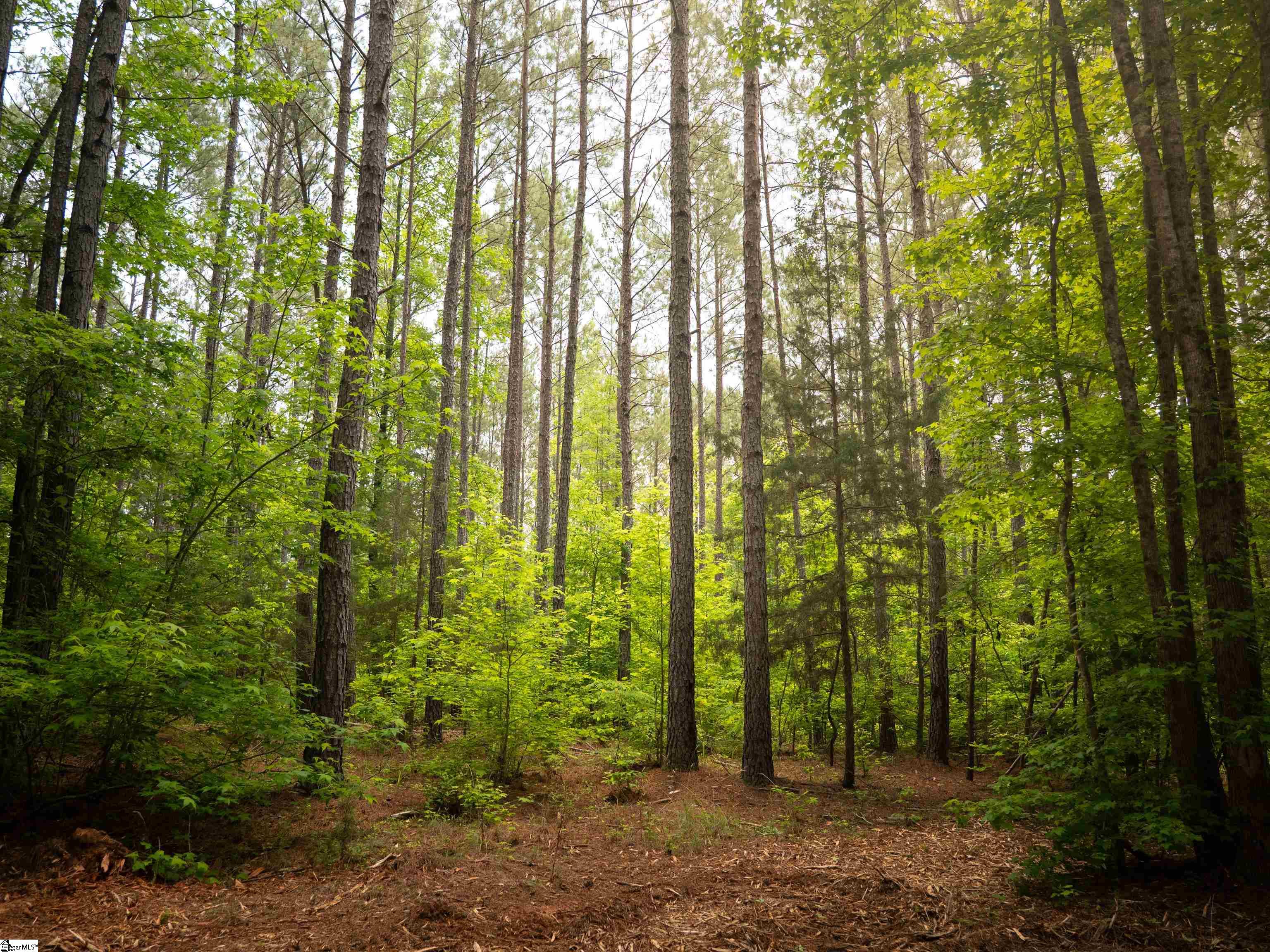 6 Elford Grove Road, Unit LOT 6 Jonesville, SC 29353 - Photo 19 of 23