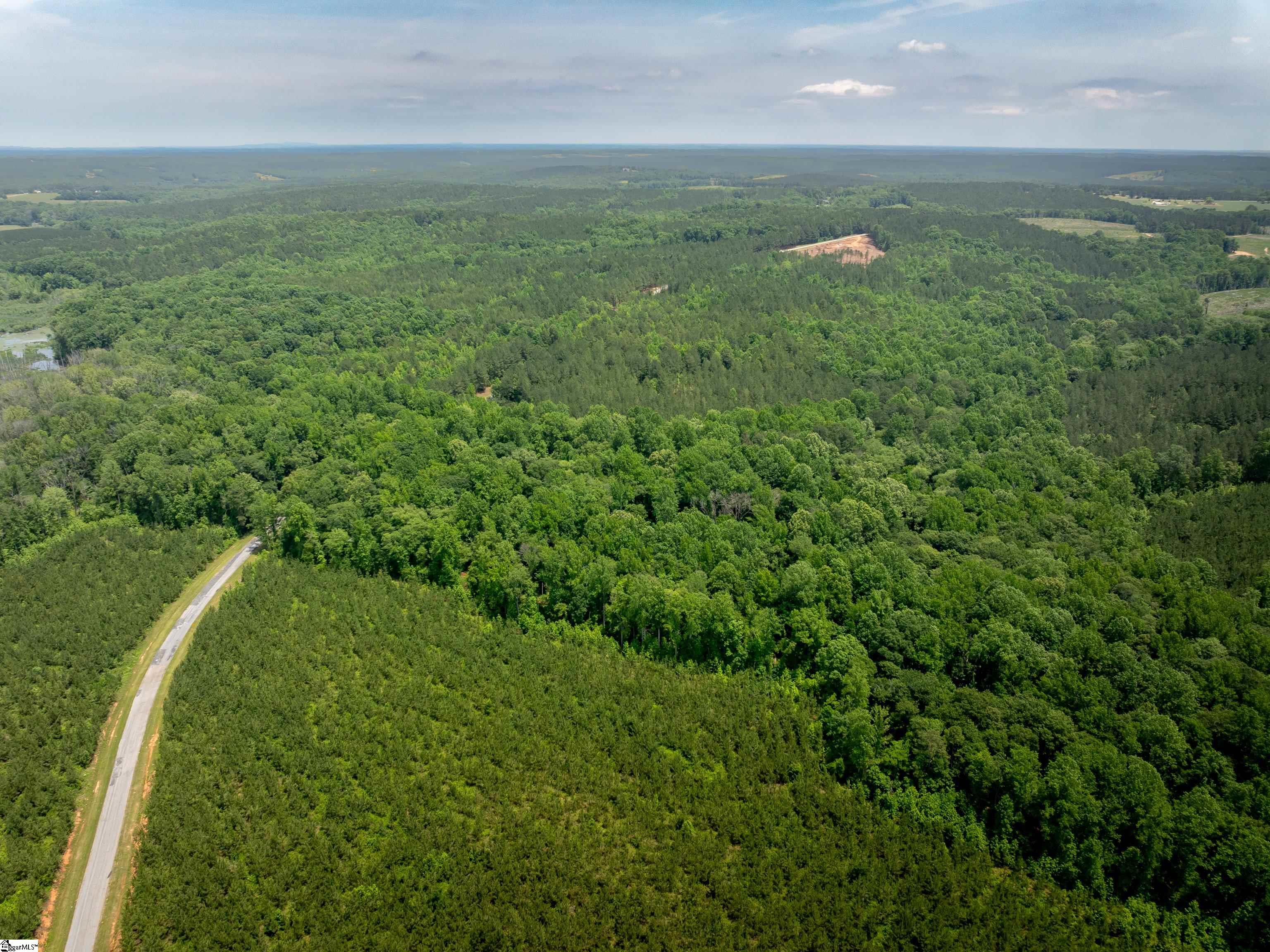 6 Elford Grove Road, Unit LOT 6 Jonesville, SC 29353 - Photo 2 of 23