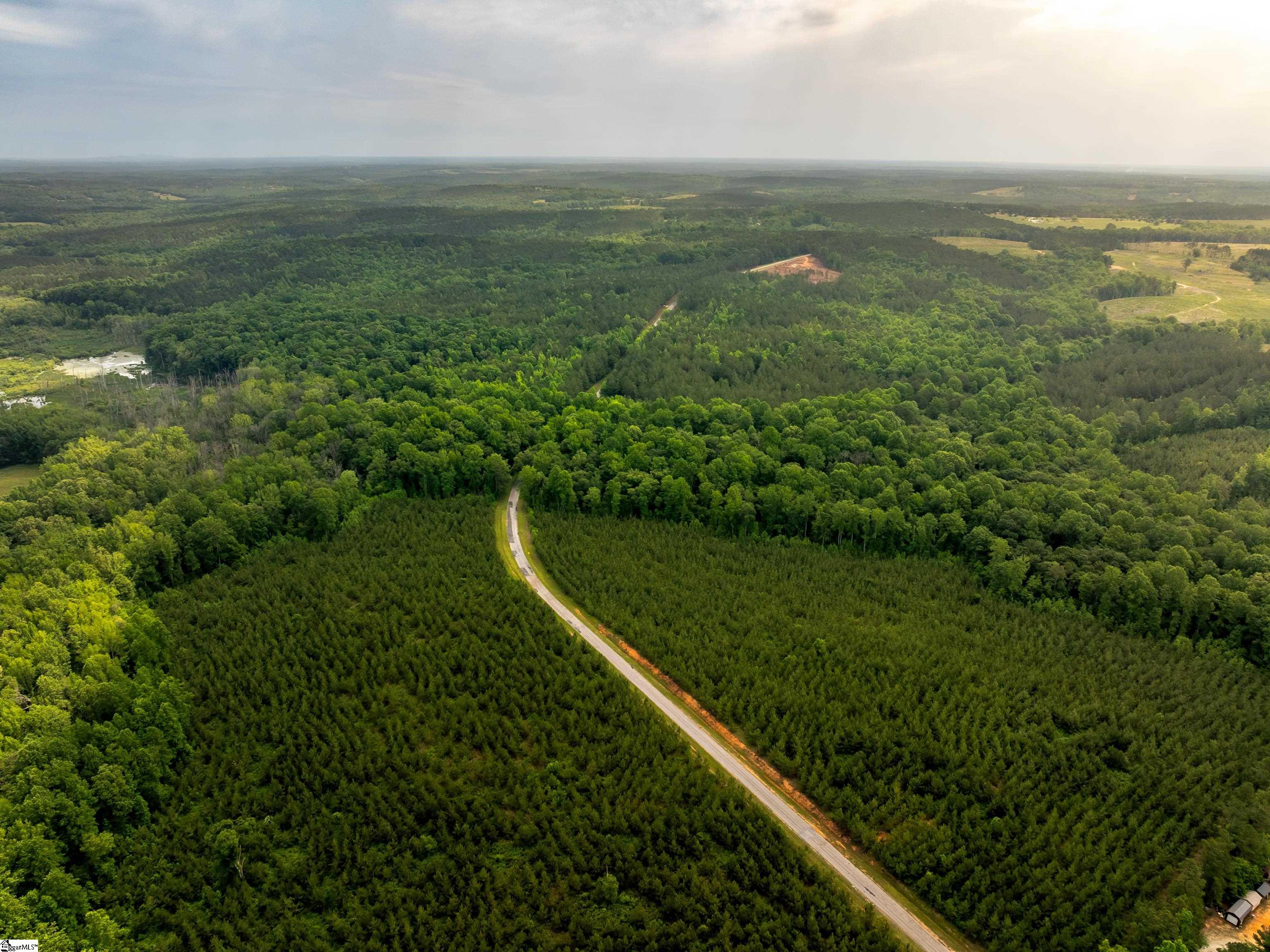 6 Elford Grove Road, Unit LOT 6 Jonesville, SC 29353 - Photo 4 of 23