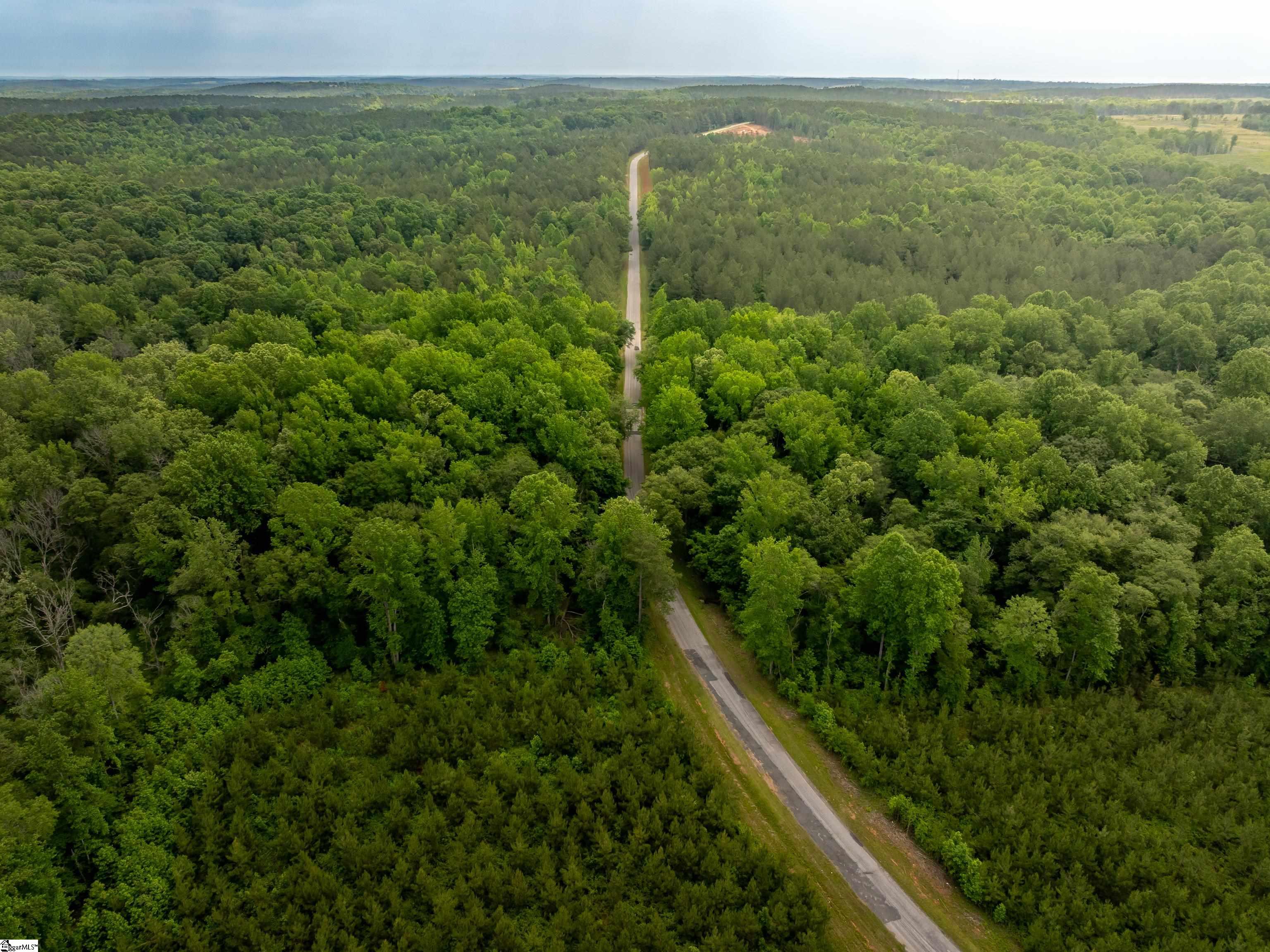 6 Elford Grove Road, Unit LOT 6 Jonesville, SC 29353 - Photo 5 of 23