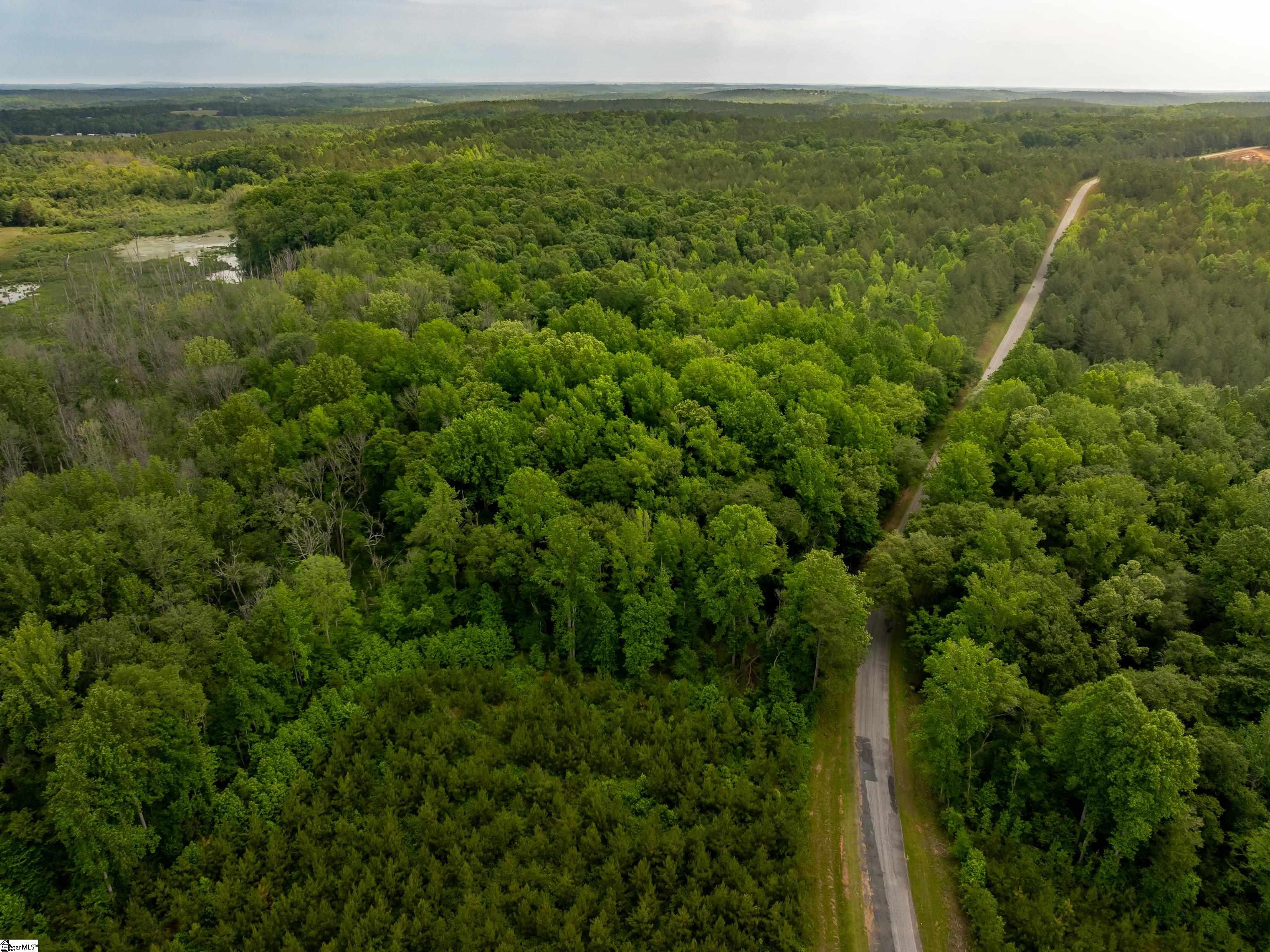 6 Elford Grove Road, Unit LOT 6 Jonesville, SC 29353 - Photo 6 of 23