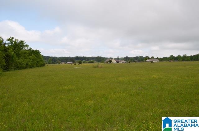 7794 Kimbrell Cutoff Road, Unit 25 17 ACRES McCalla, AL 35111 - Photo 1 of 1