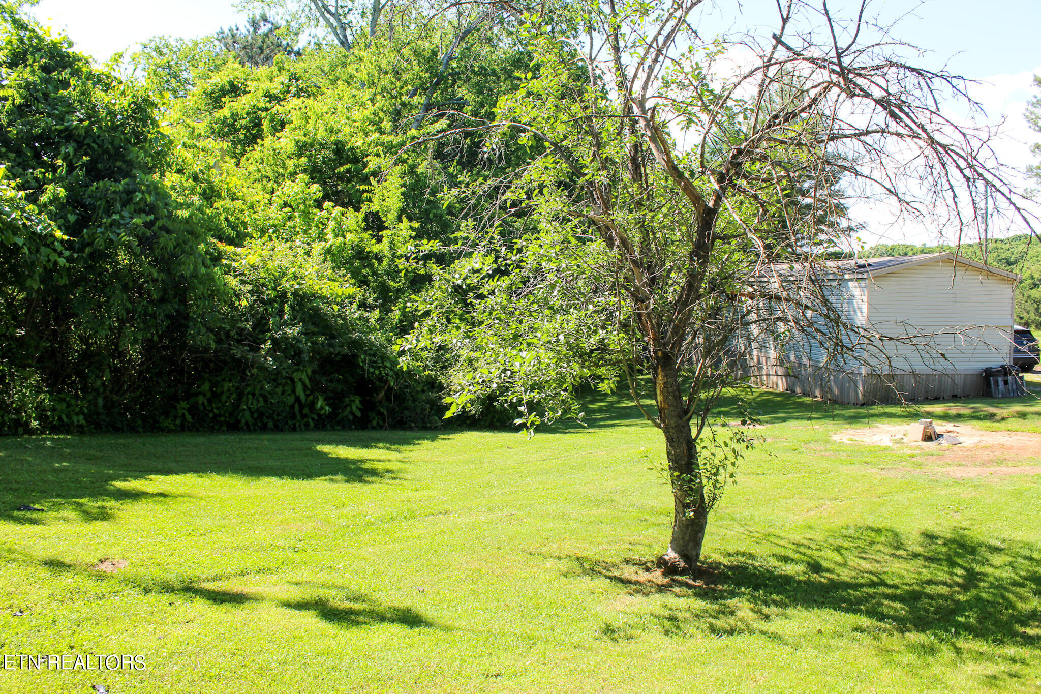1378 Cloyds Church Road Greenback, TN 37742 - Photo 6 of 17 IMG_0017
