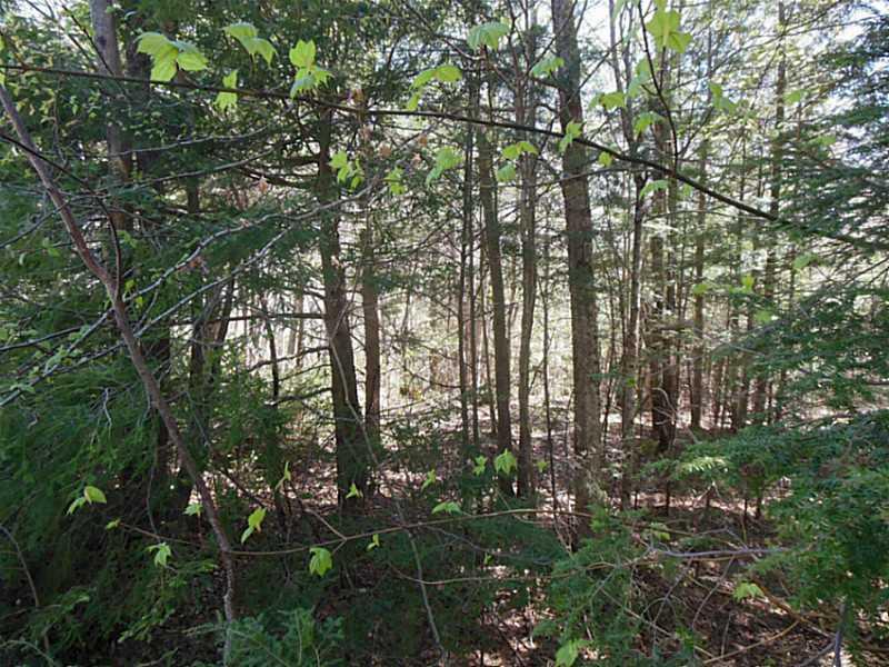 0 Ruby Ridge Road Winthrop, ME 04364 - Photo 3 of 8 Land.