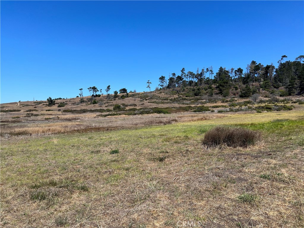 0 Wedgewood Street Cambria, CA 93428 - Photo 18 of 24