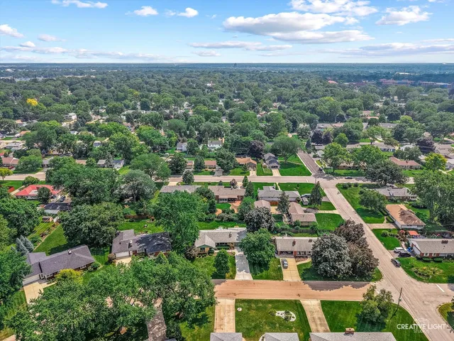 a view of a lush green forest with lawn chairs