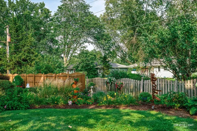 a bunch of flowers are in a garden