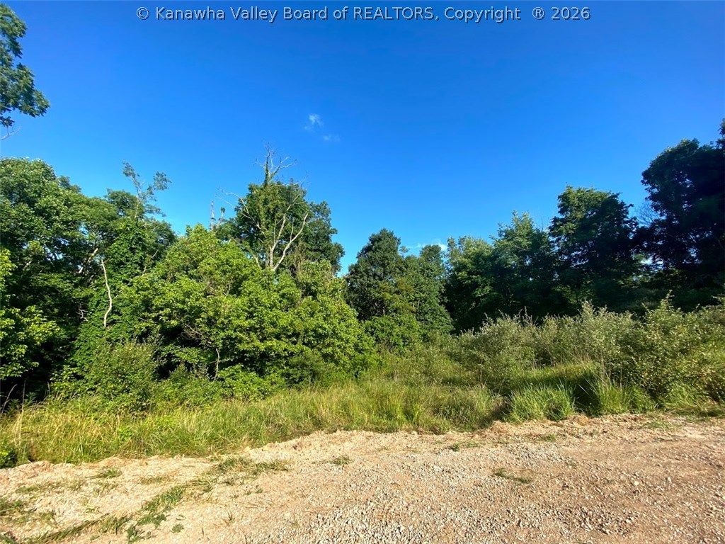 213 Davidson Ridge Road Palestine, WV 26160 - Photo 21 of 44 Gallery Image 21