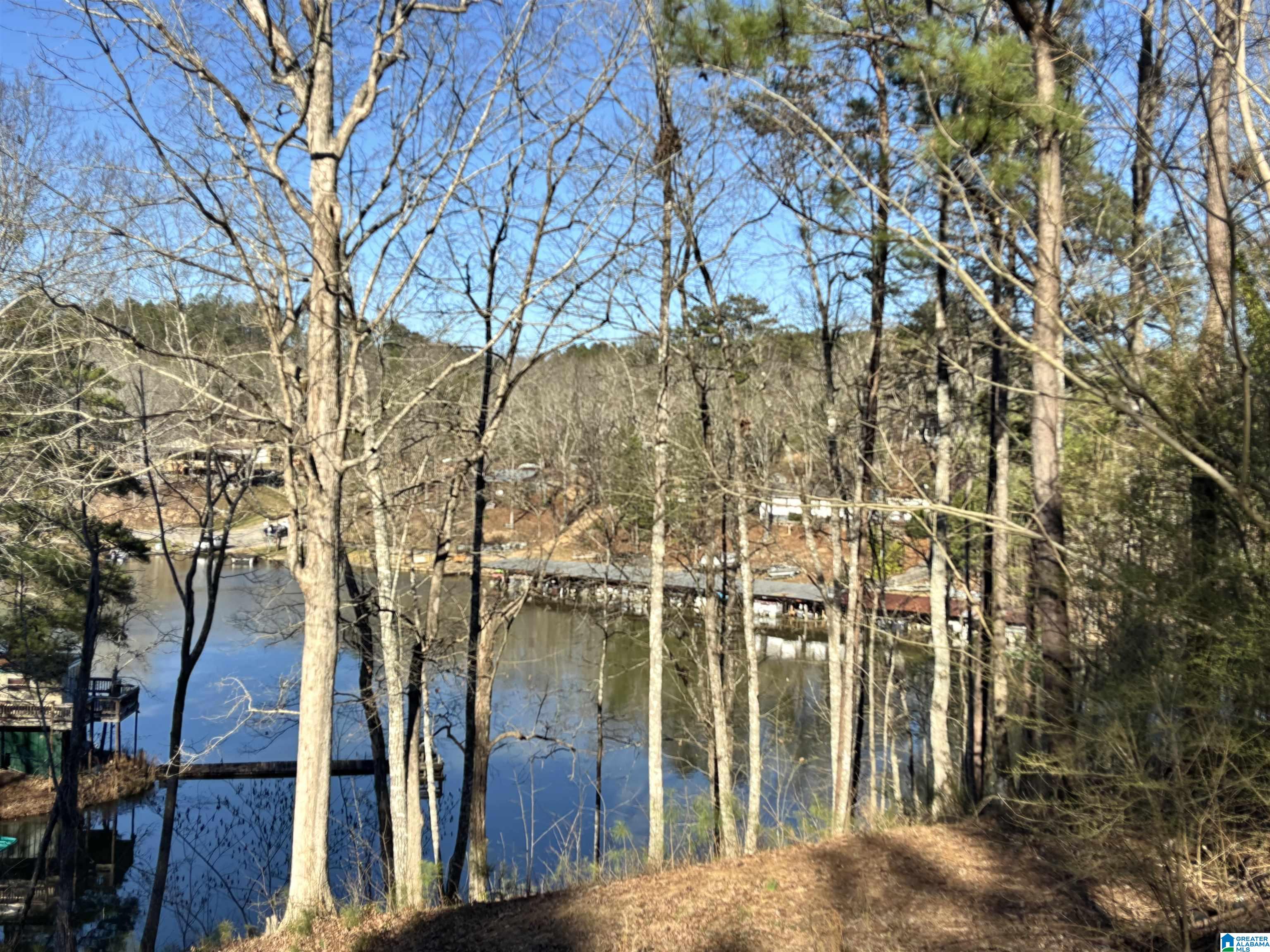 0 Ridge Drive, Unit LOT 1 Shelby, AL 35143 - Photo 3 of 3