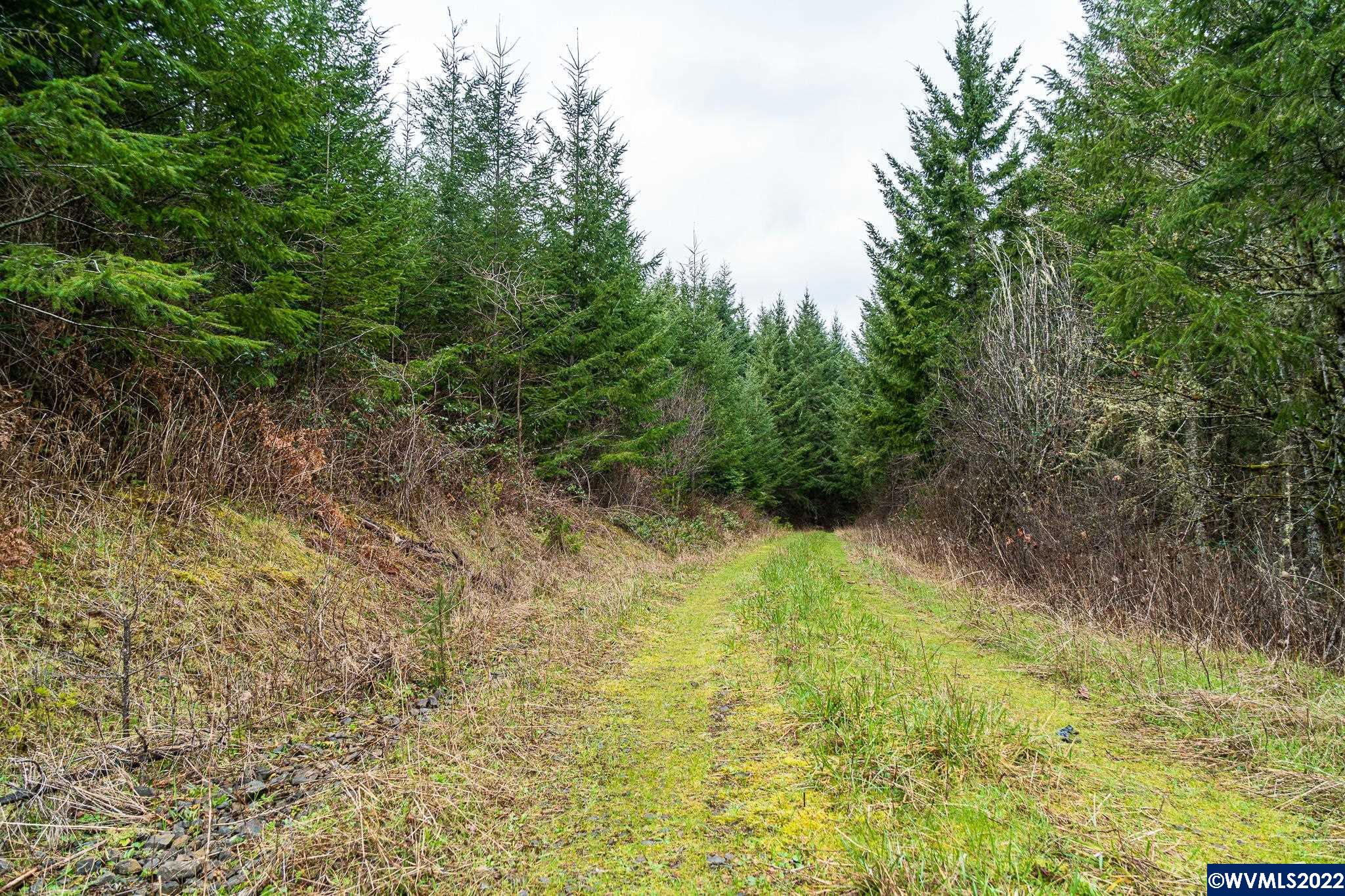 Na Green Peak Road Monroe, OR 97456 - Photo 2 of 26 Gallery Image 2