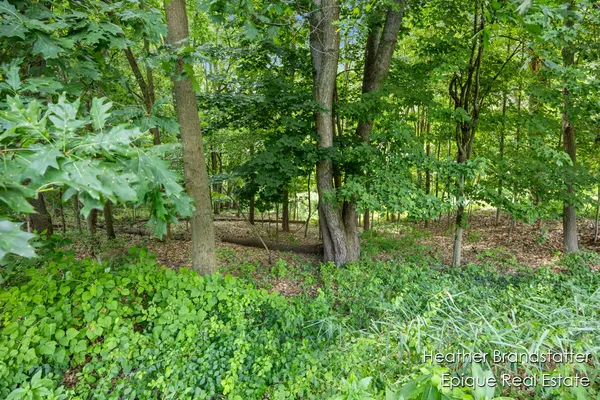 $399,000 | 7670 Wood Violet Court Southeast, Ada, MI 49301