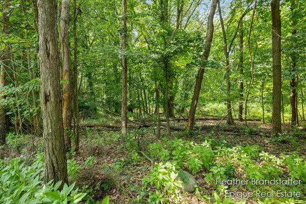 $399,000 | 7670 Wood Violet Court Southeast, Ada, MI 49301