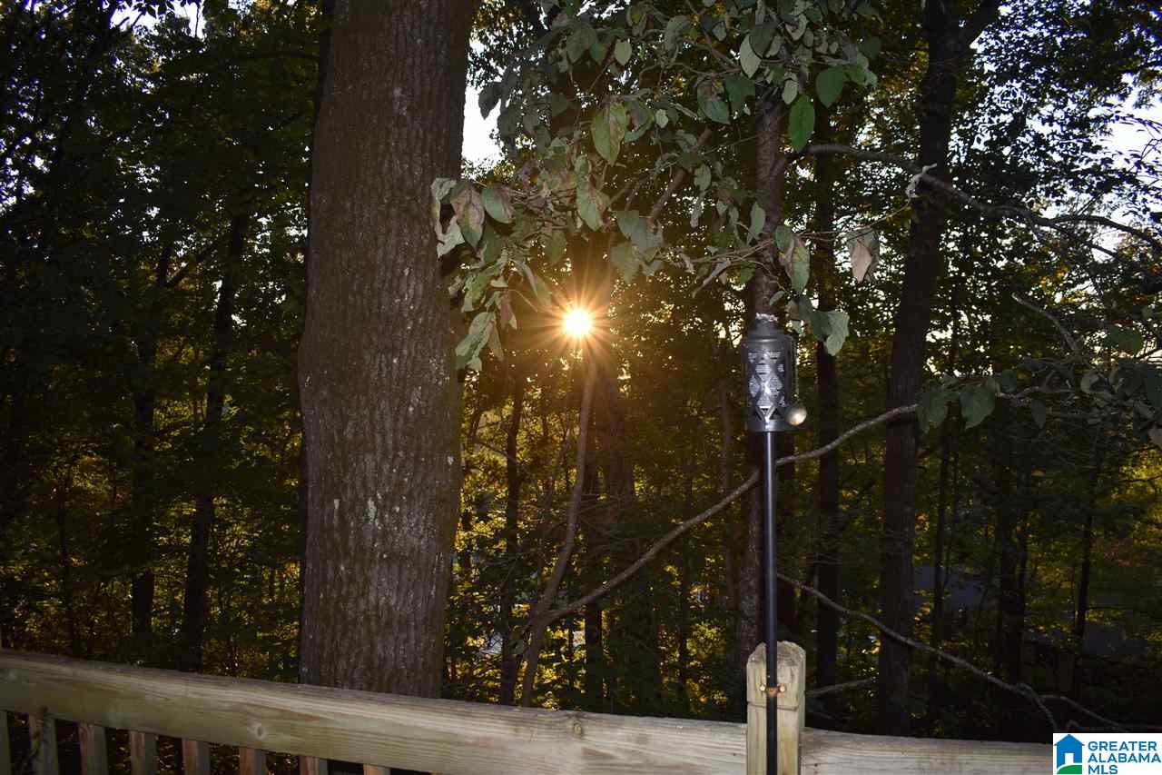 1229 Robin Lane Birmingham, AL 35235 - Photo 45 of 45