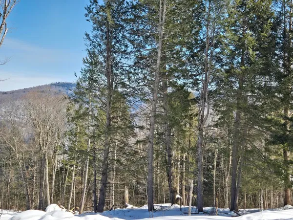 $299,000 | 0 Vt Route, Unit LOT 1, Bethel, VT 05032