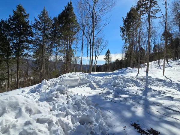 $299,000 | 0 Vt Route, Unit LOT 1, Bethel, VT 05032
