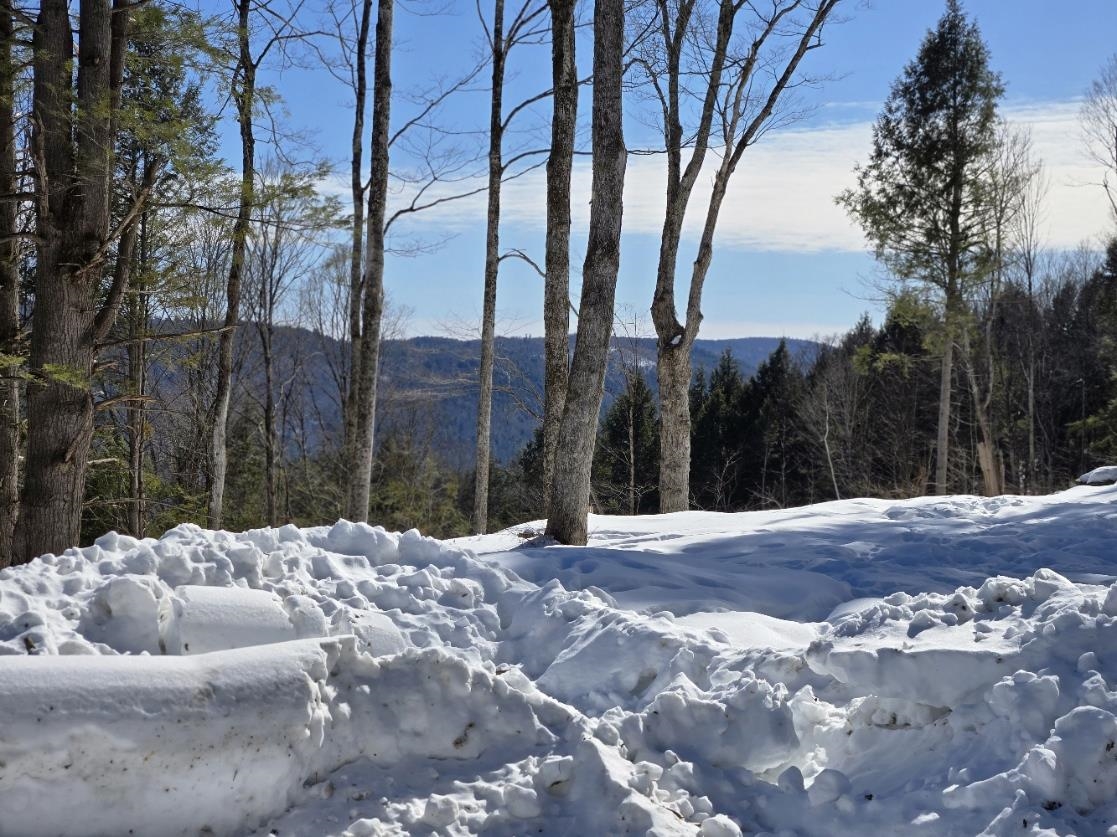 0 Vt Route, Unit LOT 1 Bethel, VT 05032 - Photo 13 of 15