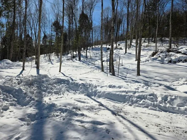 $299,000 | 0 Vt Route, Unit LOT 1, Bethel, VT 05032