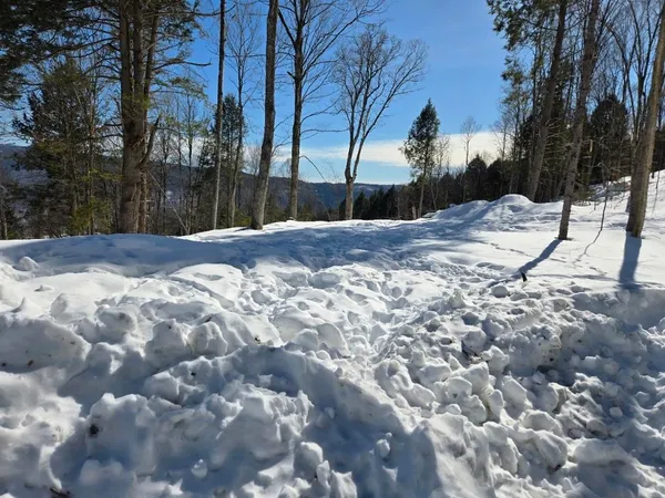 $299,000 | 0 Vt Route, Unit LOT 1, Bethel, VT 05032