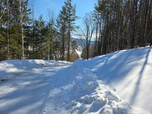 $299,000 | 0 Vt Route, Unit LOT 1, Bethel, VT 05032