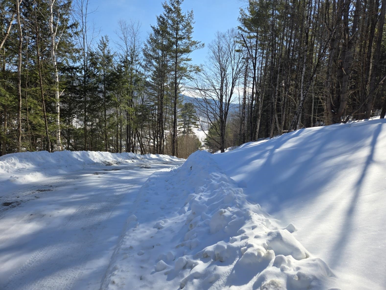 0 Vt Route, Unit LOT 1 Bethel, VT 05032 - Photo 2 of 15