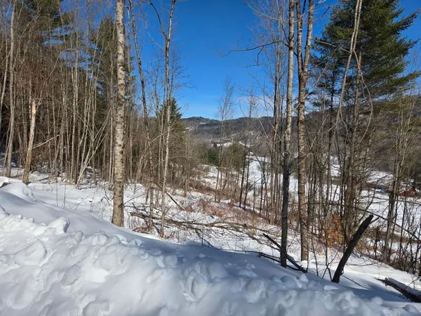 $299,000 | 0 Vt Route, Unit LOT 1, Bethel, VT 05032