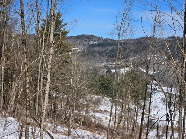 $299,000 | 0 Vt Route, Unit LOT 1, Bethel, VT 05032