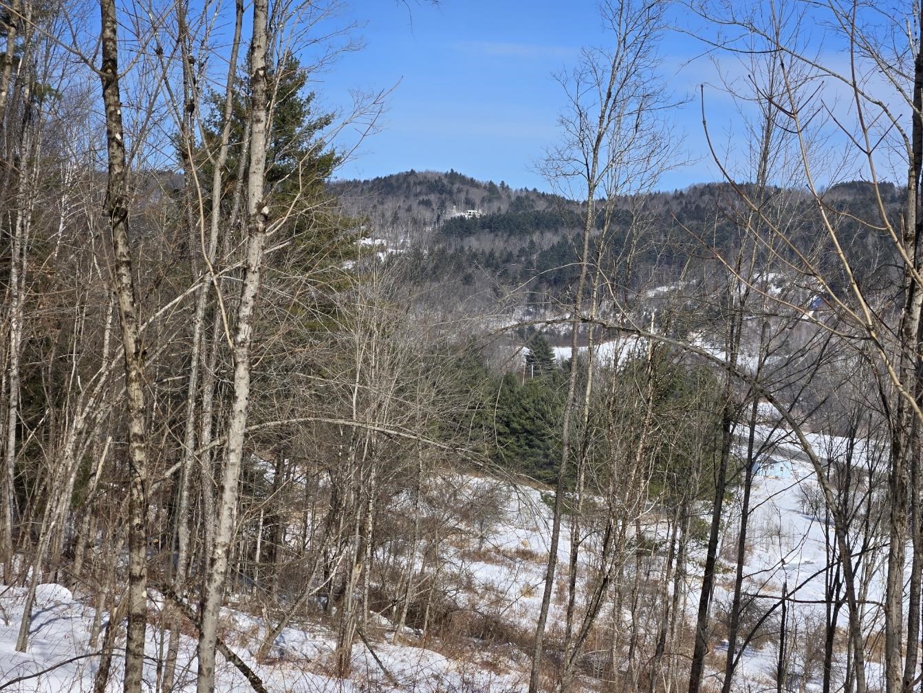 0 Vt Route, Unit LOT 1 Bethel, VT 05032 - Photo 4 of 15
