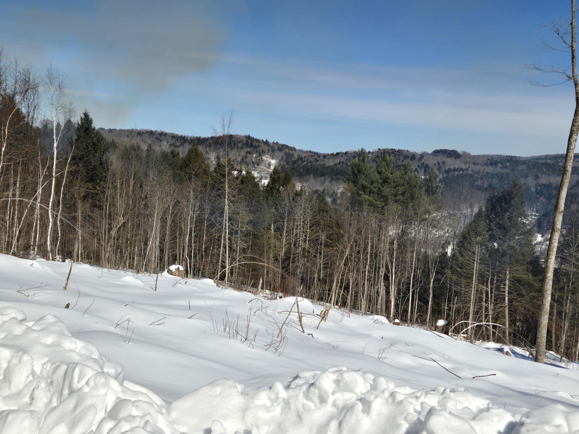 0 Vt Route, Unit LOT 1 Bethel, VT 05032 - Photo 9 of 15