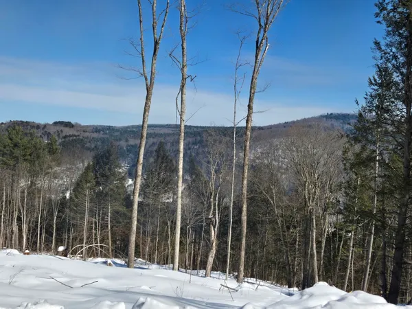 $299,000 | 0 Vt Route, Unit LOT 1, Bethel, VT 05032