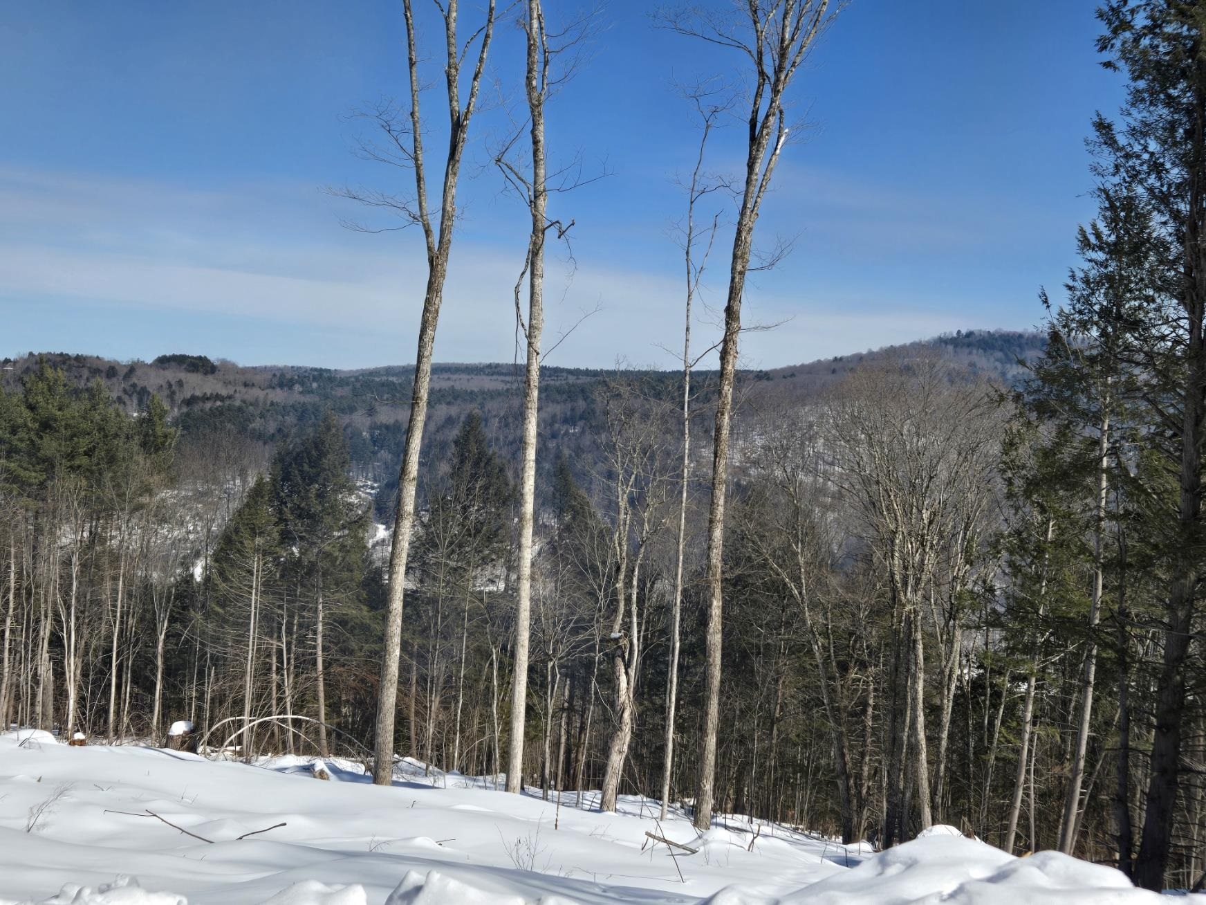 0 Vt Route, Unit LOT 1 Bethel, VT 05032 - Photo 10 of 15