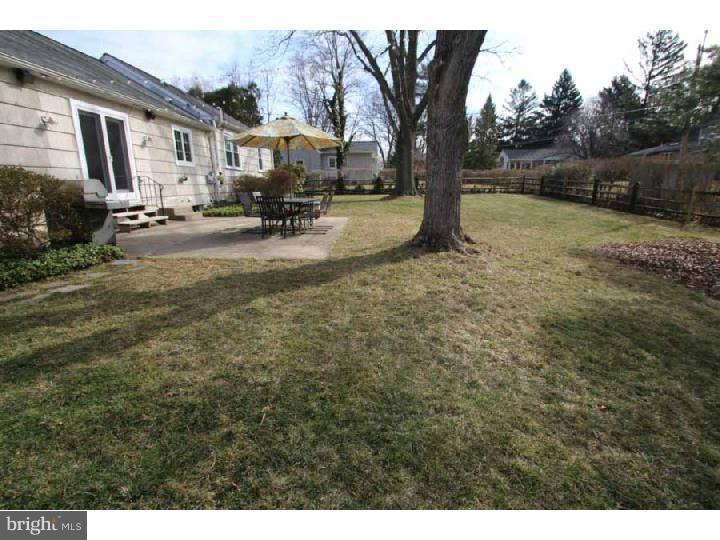113 Croton Road Wayne, PA 19087 - Photo 23 of 25 Back Yard