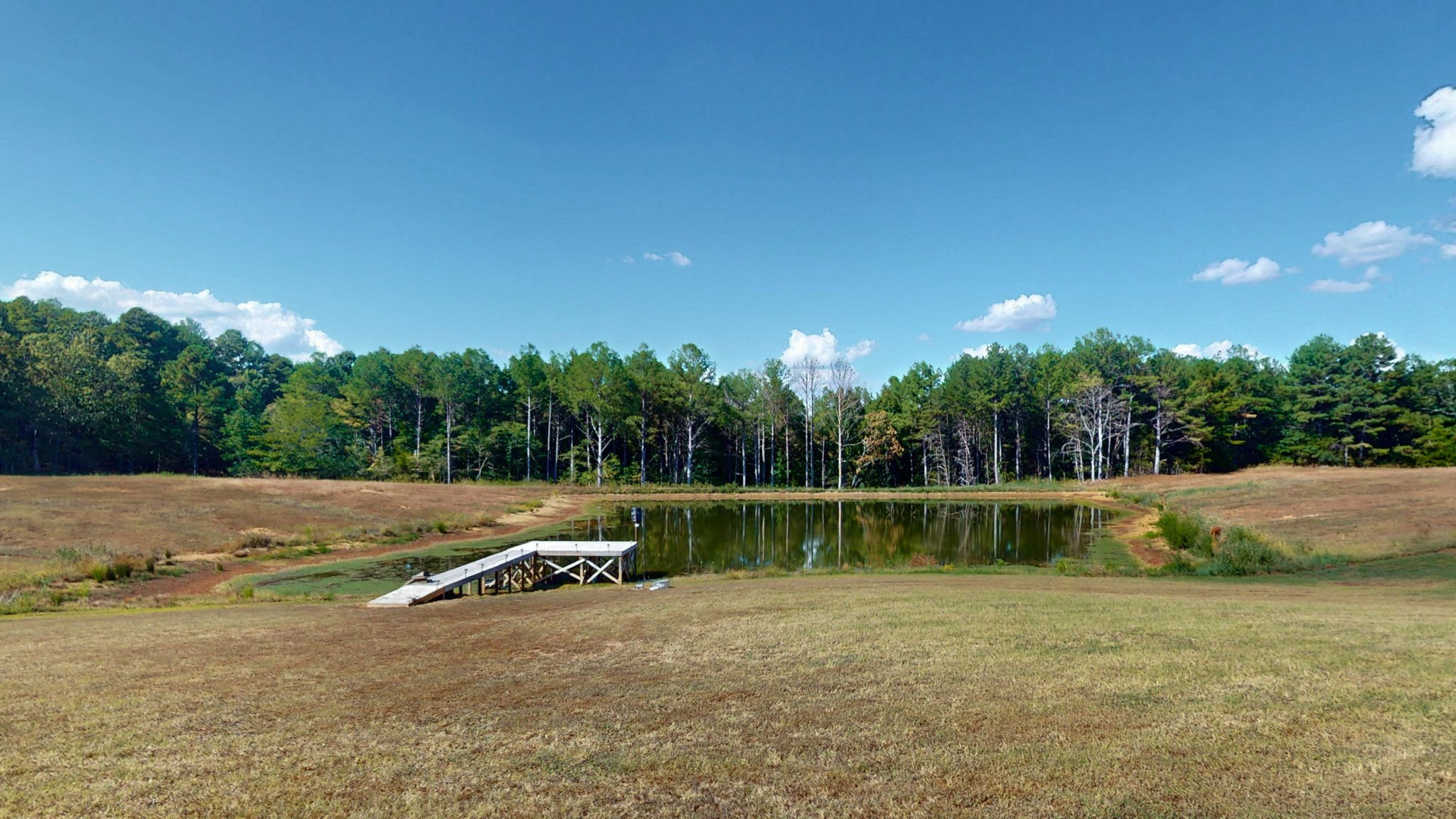 1748 Buffalo Road New Concord, KY 42076 - Photo 35 of 41 a view of a field with large trees