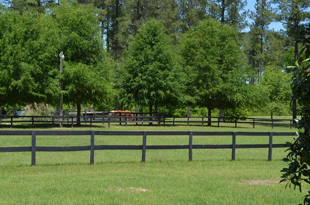 1220 Surrey Race Road Springfield, SC 29146 - Photo 36 of 46