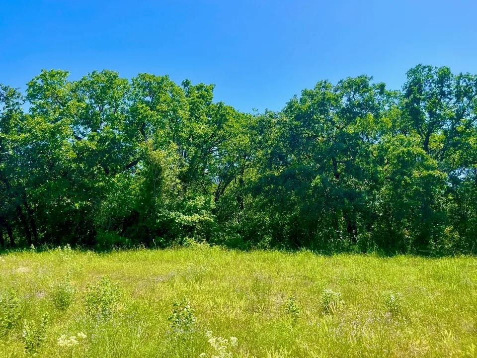 Lot 40 Kilkenny Road Poolville, TX 76487 - Photo 3 of 3 View of nature
