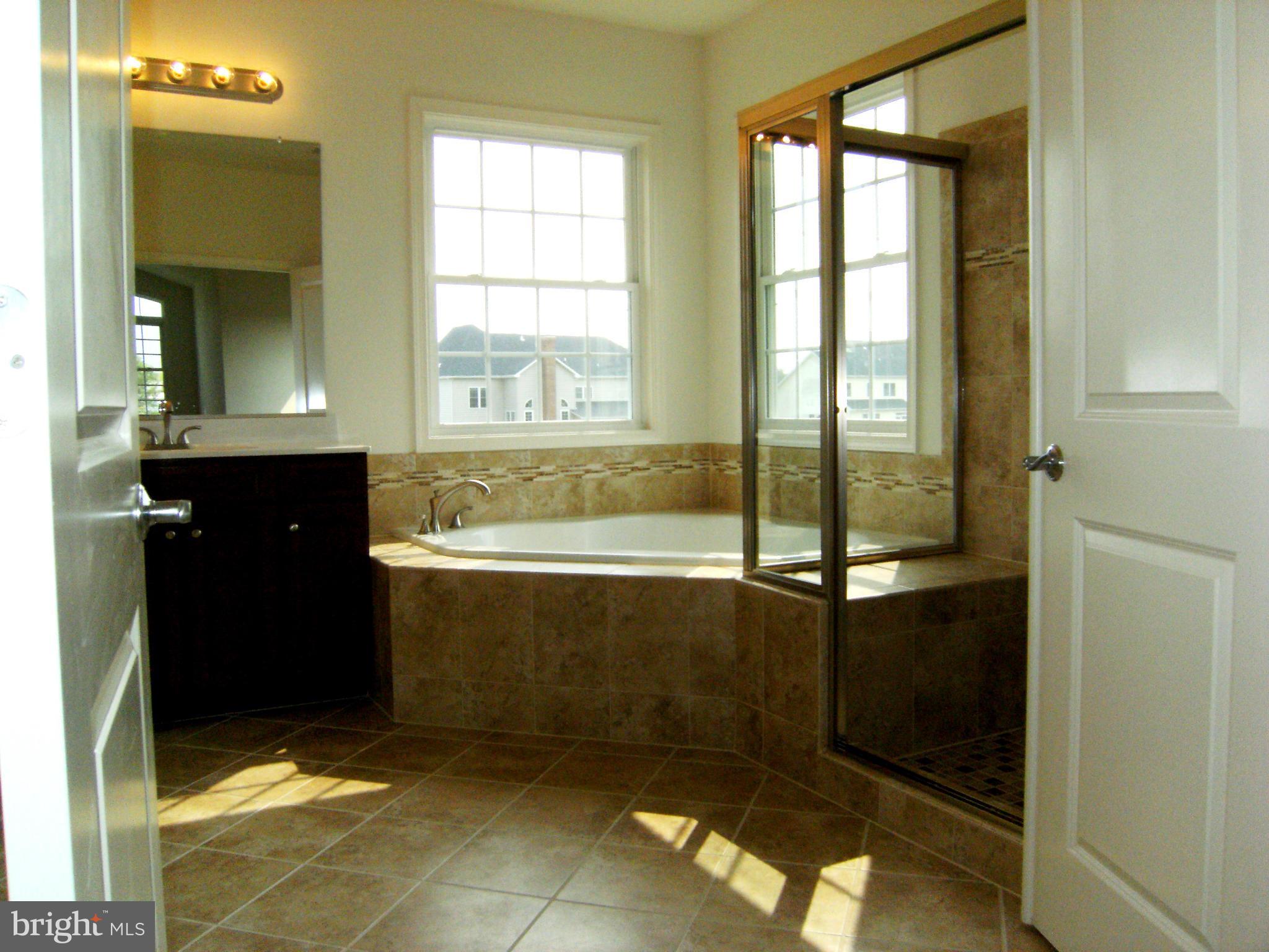17530 West Willard Road Poolesville, MD 20837 - Photo 13 of 29 Bath (Master)