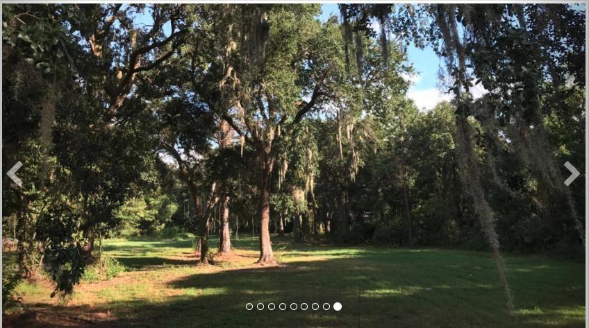 1701 Ranns Hill Road Mount Pleasant, SC 29464 - Photo 2 of 2 Lot