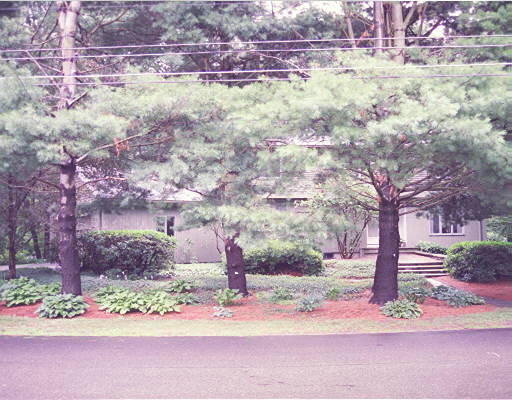 12 John Poulter Road Lexington, MA 02421 - Photo 1 of 1 a front view of a house with garden